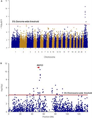 Genome-Wide Identification of a Regulatory Mutation in BMP15 Controlling Prolificacy in Sheep